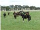 103 Third Creek Road, Crookwell NSW 2583