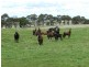 103 Third Creek Road, Crookwell NSW 2583