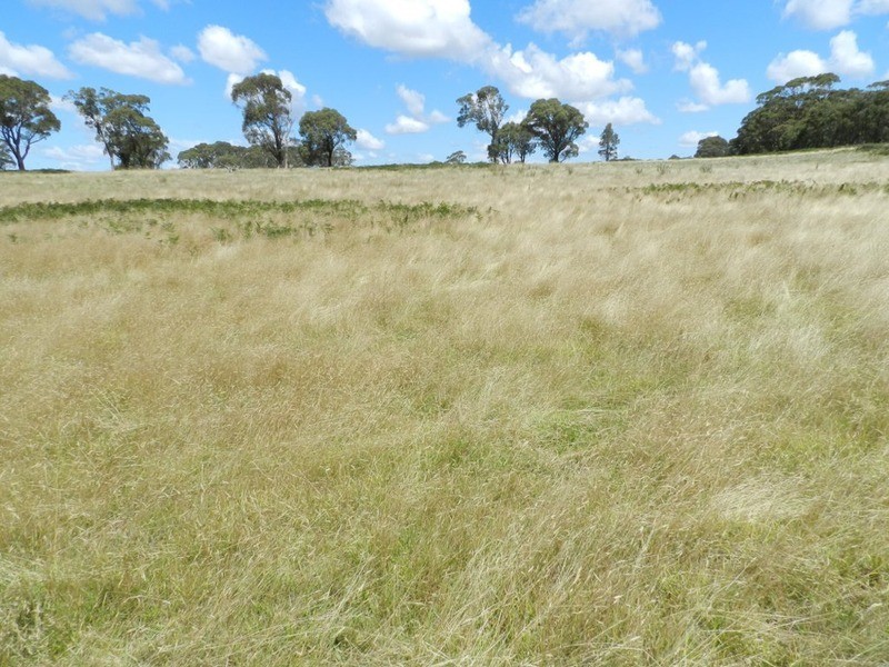 615 (Lot 2) Off Kialla Road, Crookwell NSW 2583