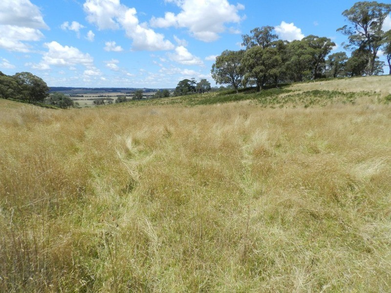 615 (Lot 2) Off Kialla Road, Crookwell NSW 2583