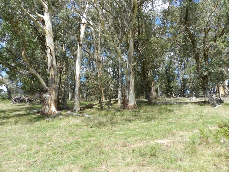 615 (Lot 2) Off Kialla Road, Crookwell NSW 2583