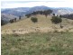 Eagles Nest/ Lot 7 Decca  Road, Bigga NSW 2583