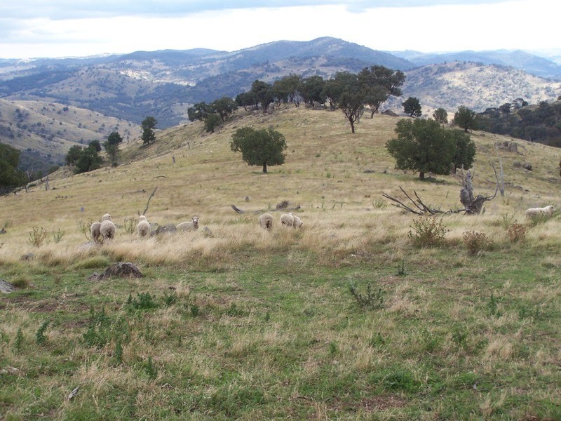 Eagles Nest/ Lot 7 Decca  Road, Bigga NSW 2583