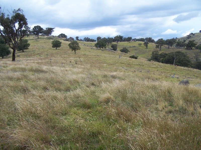 Eagles Nest/ Lot 7 Decca  Road, Bigga NSW 2583