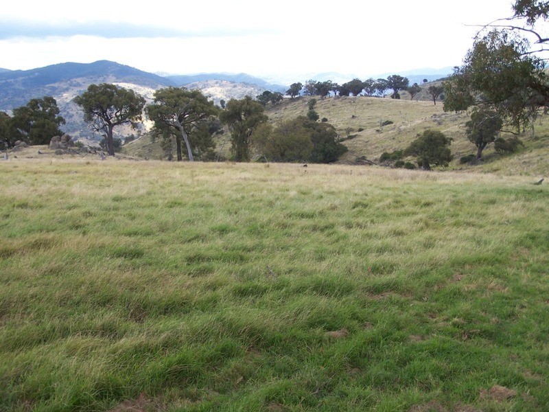 Eagles Nest/ Lot 7 Decca  Road, Bigga NSW 2583
