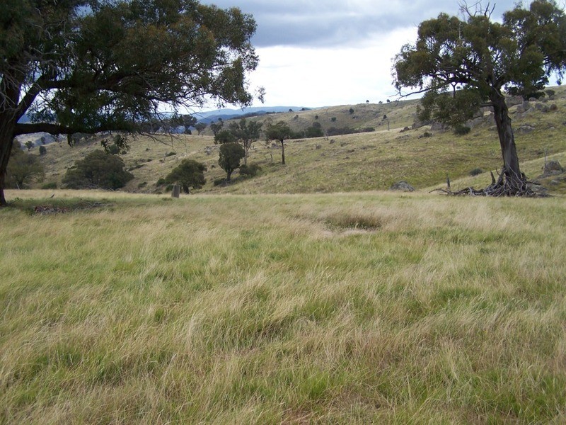 Eagles Nest/ Lot 7 Decca  Road, Bigga NSW 2583