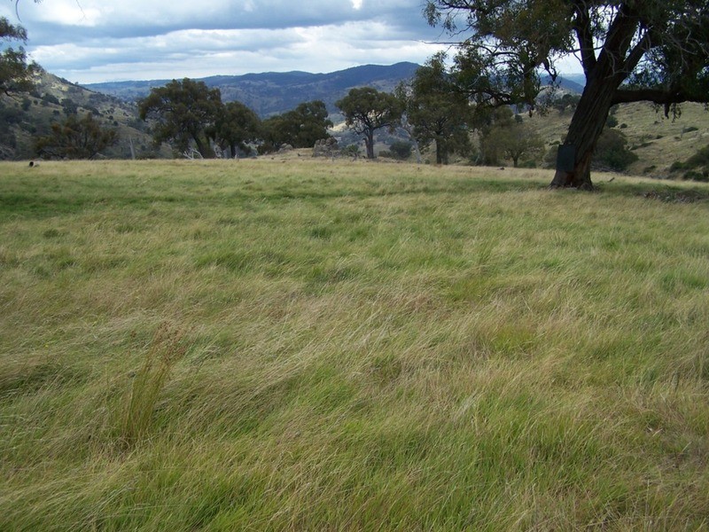 Eagles Nest/ Lot 7 Decca  Road, Bigga NSW 2583