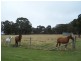 996 Golspie  Road, Taralga NSW 2580