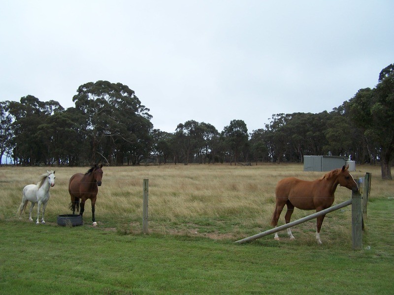 996 Golspie  Road, Taralga NSW 2580