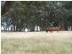 996 Golspie  Road, Taralga NSW 2580