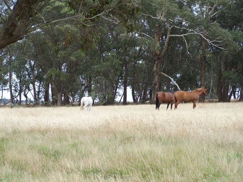 996 Golspie  Road, Taralga NSW 2580