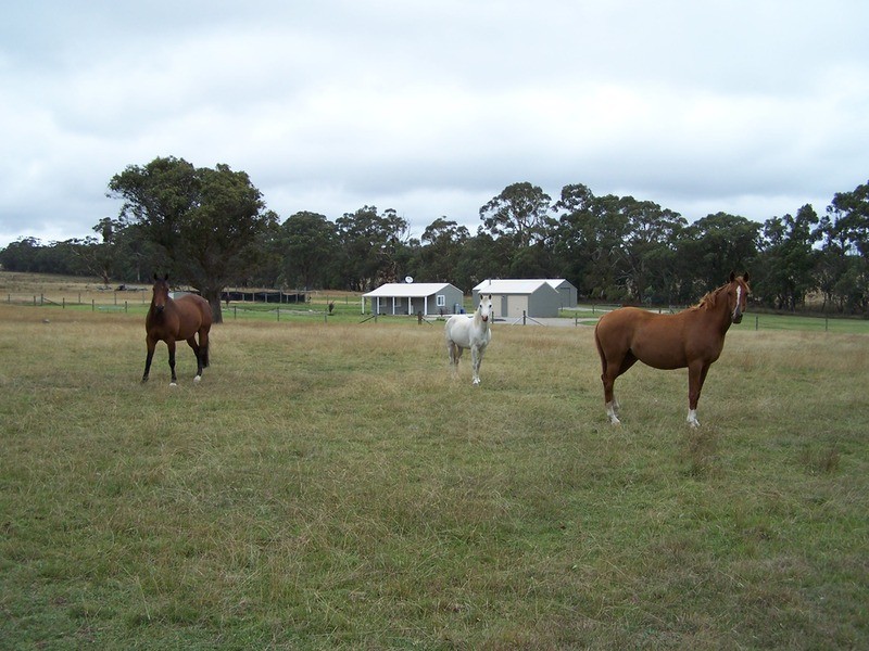 996 Golspie  Road, Taralga NSW 2580