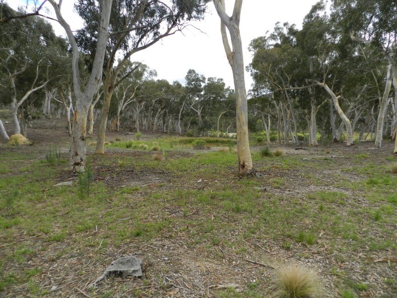 114 Winfarthing Road, Marulan NSW 2579