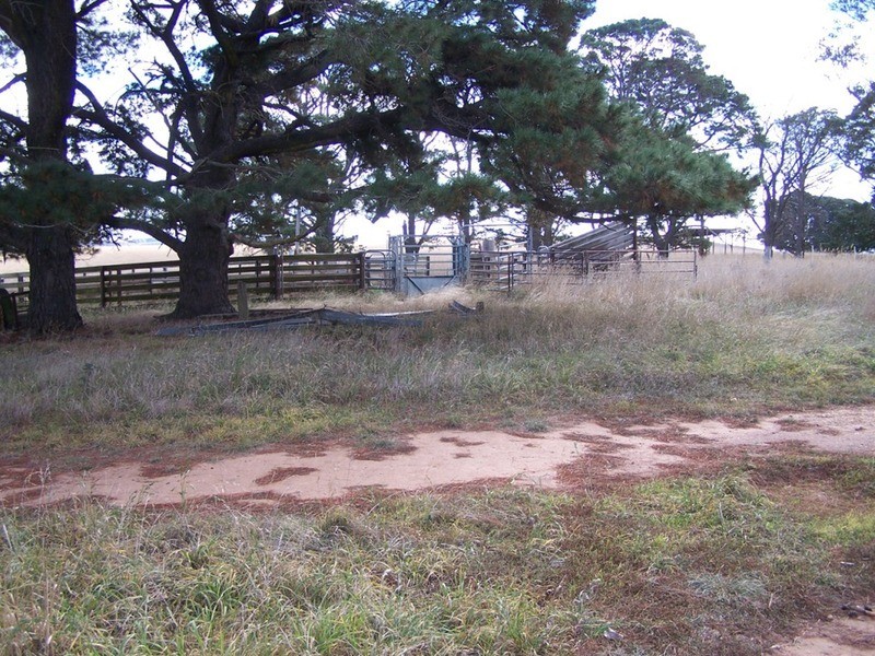 495 Leighwood Road, Golspie NSW 2580