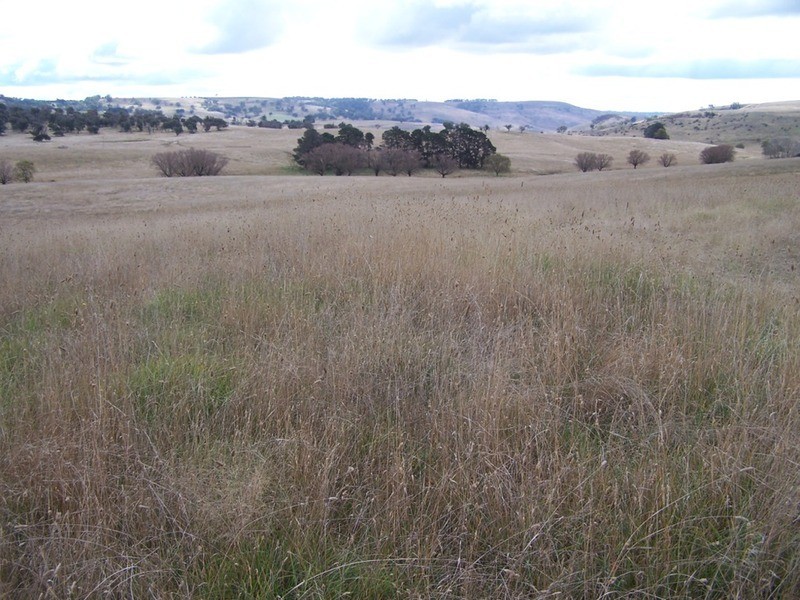 495 Leighwood Road, Golspie NSW 2580