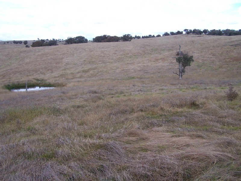 495 Leighwood Road, Golspie NSW 2580