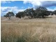 “PINEGROVE”  1011 Fullerton Road, Fullerton NSW 2583