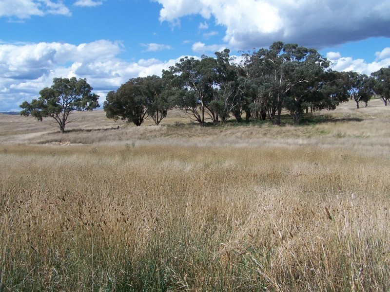 “PINEGROVE”  1011 Fullerton Road, Fullerton NSW 2583