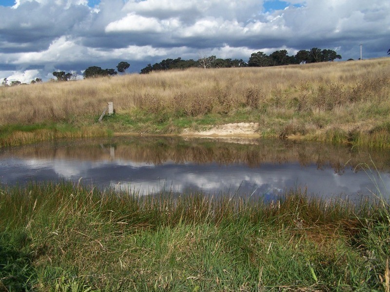 “PINEGROVE”  1011 Fullerton Road, Fullerton NSW 2583