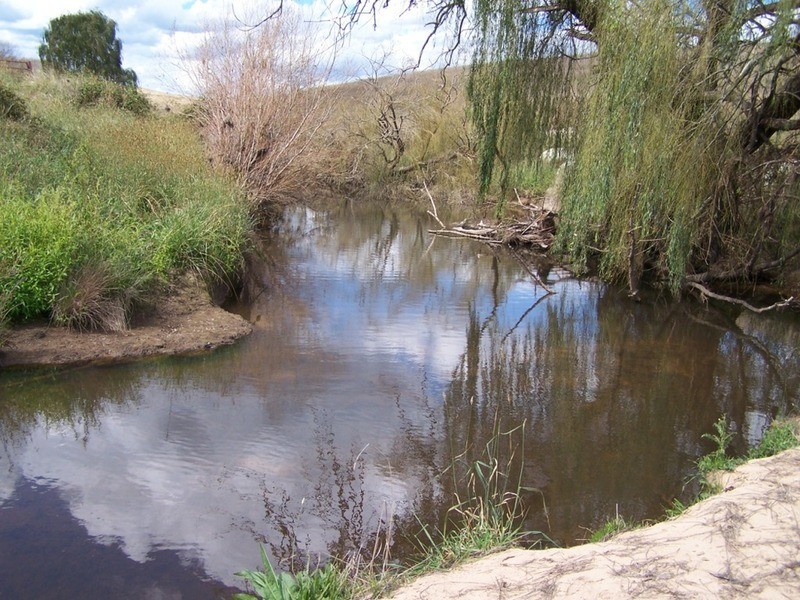 “PINEGROVE”  1011 Fullerton Road, Fullerton NSW 2583