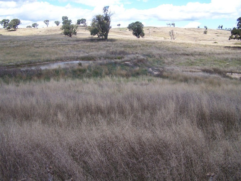 “PINEGROVE”  1011 Fullerton Road, Fullerton NSW 2583