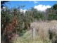 “PINEGROVE”  1011 Fullerton Road, Fullerton NSW 2583