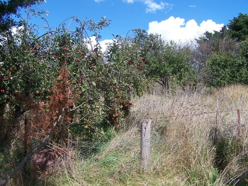 “PINEGROVE”  1011 Fullerton Road, Fullerton NSW 2583