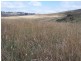 “Balmeringa” 1078 Fullerton Road, Fullerton NSW 2583