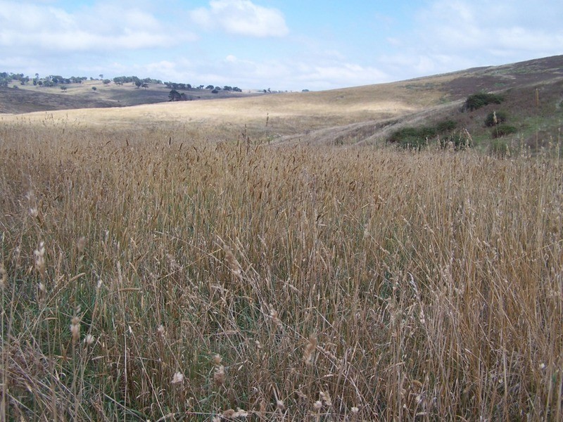 “Balmeringa” 1078 Fullerton Road, Fullerton NSW 2583