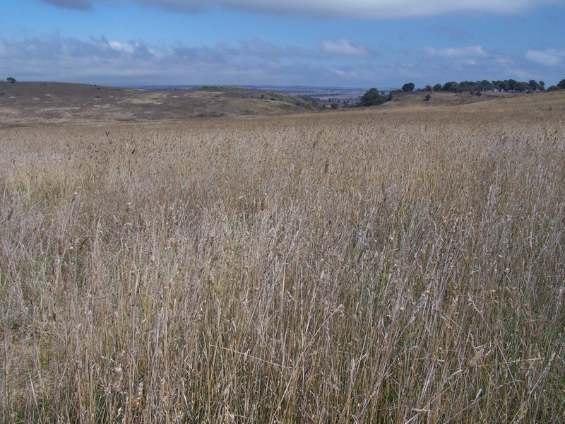 “Balmeringa” 1078 Fullerton Road, Fullerton NSW 2583