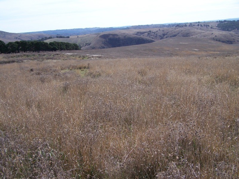 “Rockwell” 497 Leighwood Road, Golspie NSW 2580