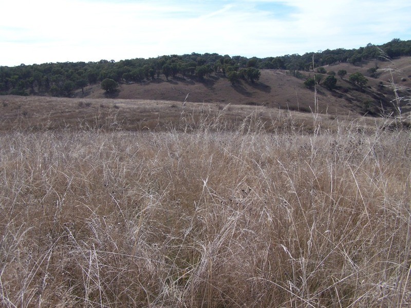 “Rockwell” 497 Leighwood Road, Golspie NSW 2580