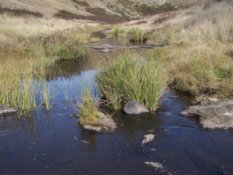 “Rockwell” 497 Leighwood Road, Golspie NSW 2580