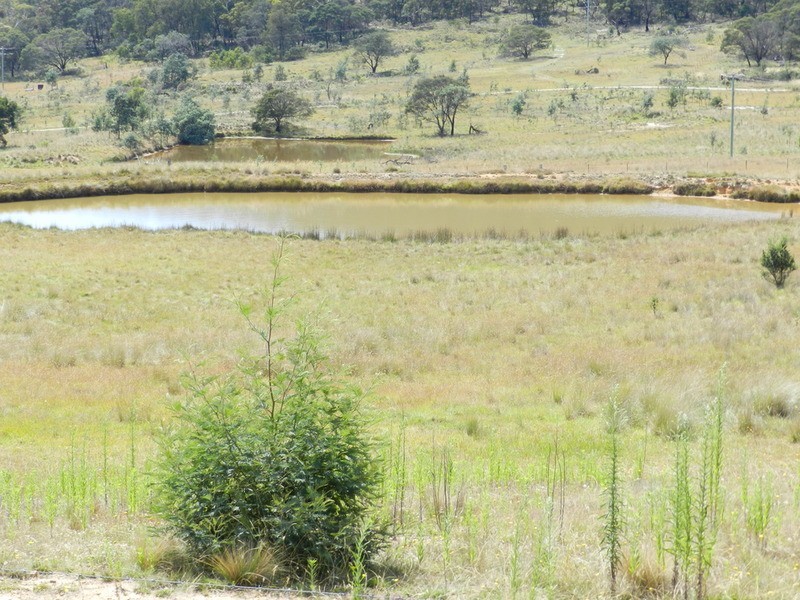 58 Mooneys Road North, Currawang NSW 2580