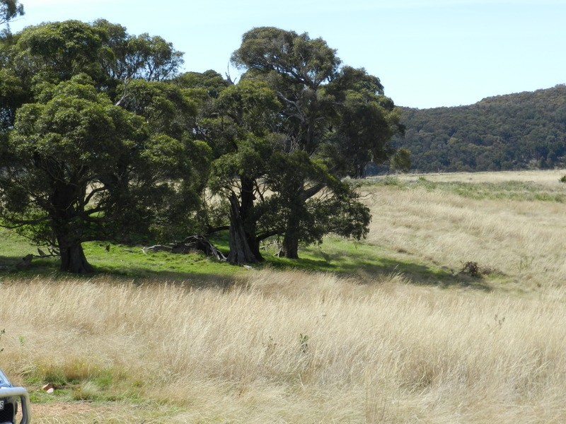 58 Mooneys Road North, Currawang NSW 2580