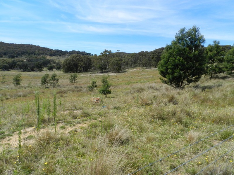 58 Mooneys Road North, Currawang NSW 2580