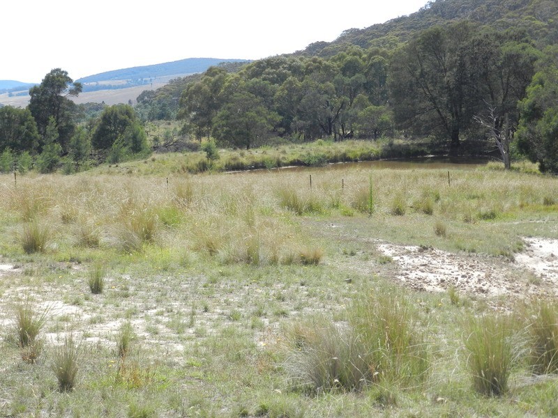 58 Mooneys Road North, Currawang NSW 2580