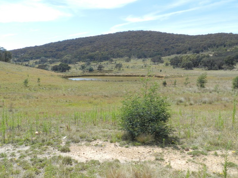 58 Mooneys Road North, Currawang NSW 2580