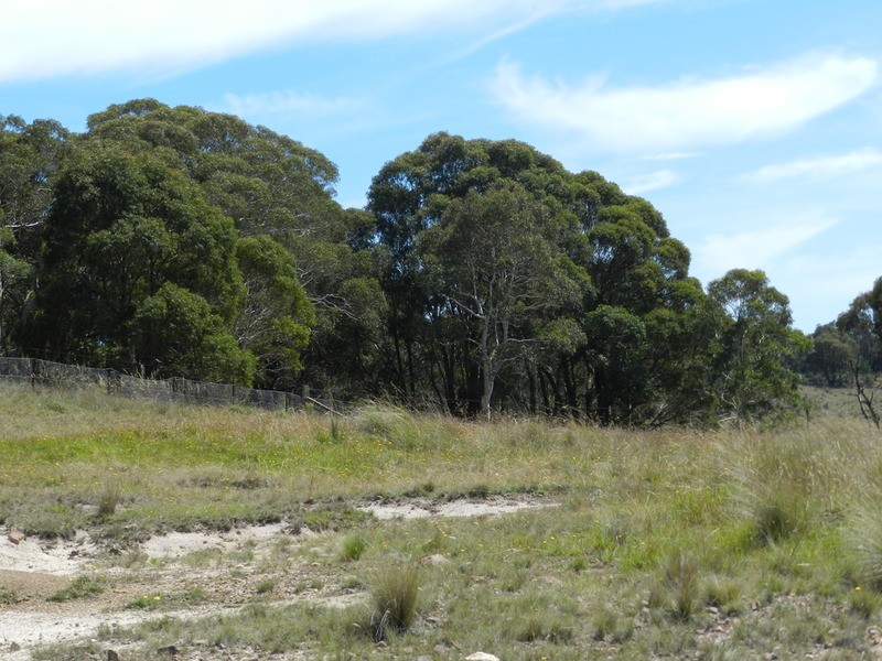 58 Mooneys Road North, Currawang NSW 2580