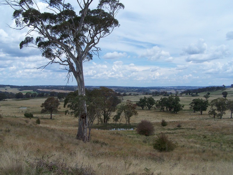509 Redground Heights  Road, Laggan NSW 2583