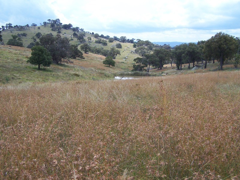 “Spring Valley” Decca  Road, Bigga NSW 2583