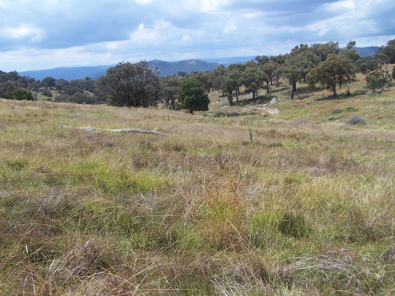 “Spring Valley” Decca  Road, Bigga NSW 2583