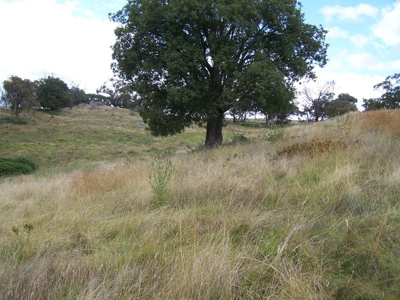 “Spring Valley” Decca  Road, Bigga NSW 2583