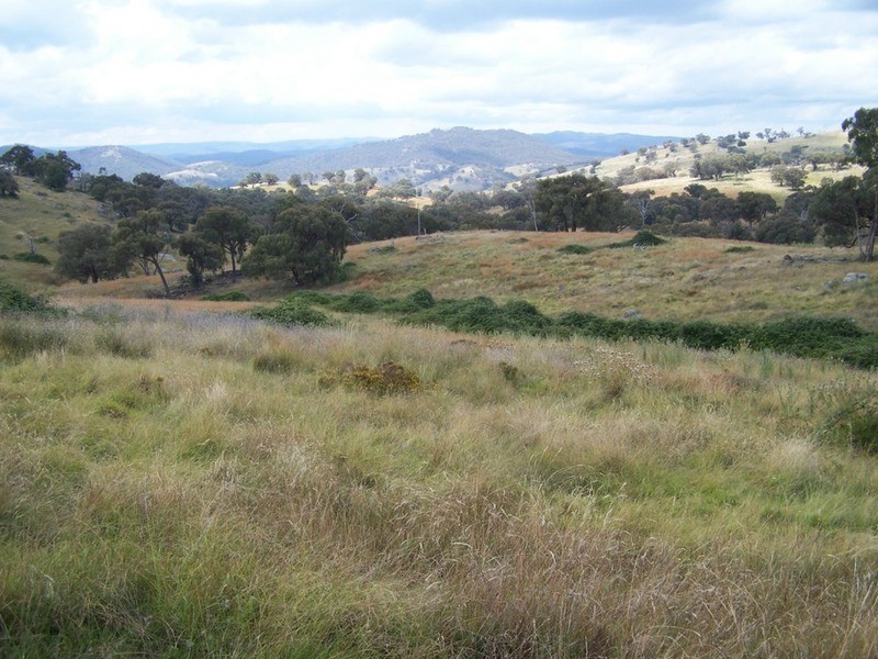 “Spring Valley” Decca  Road, Bigga NSW 2583