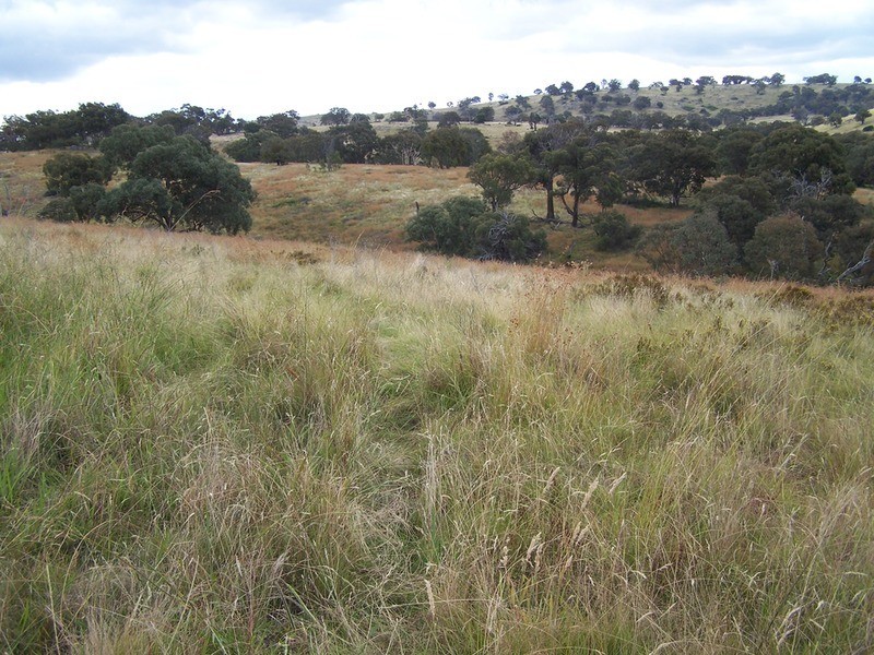 “Spring Valley” Decca  Road, Bigga NSW 2583