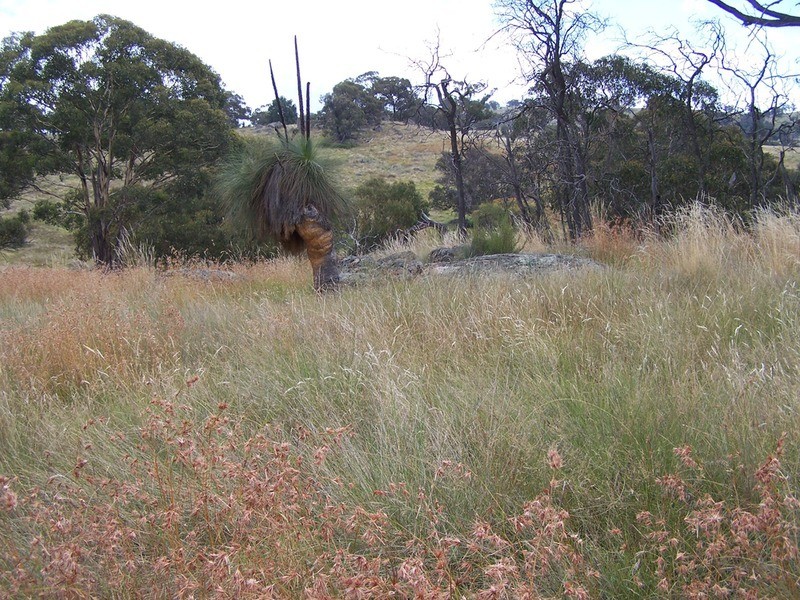 “Spring Valley” Decca  Road, Bigga NSW 2583