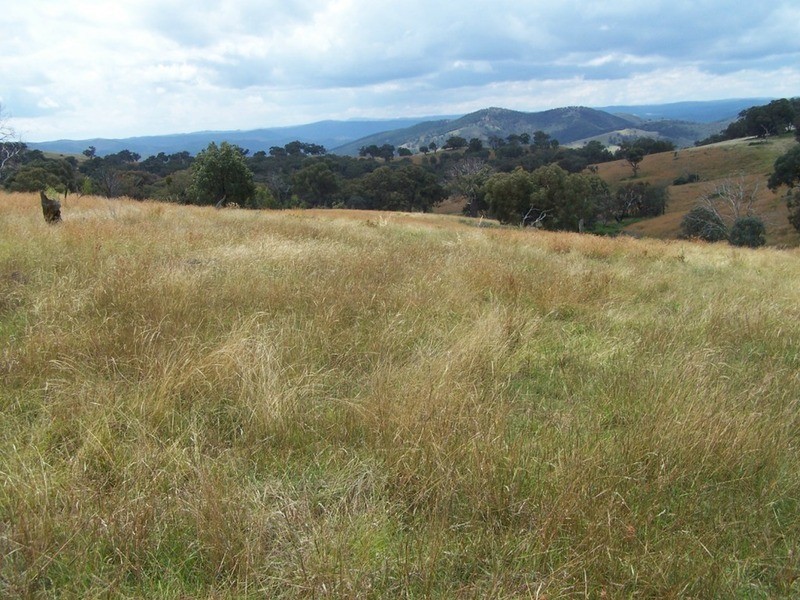 “Spring Valley” Decca  Road, Bigga NSW 2583