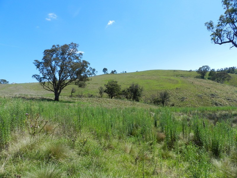 Lot 1 Hanworth  Road, Bannaby NSW 2580