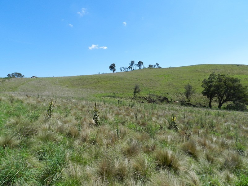 Lot 1 Hanworth  Road, Bannaby NSW 2580