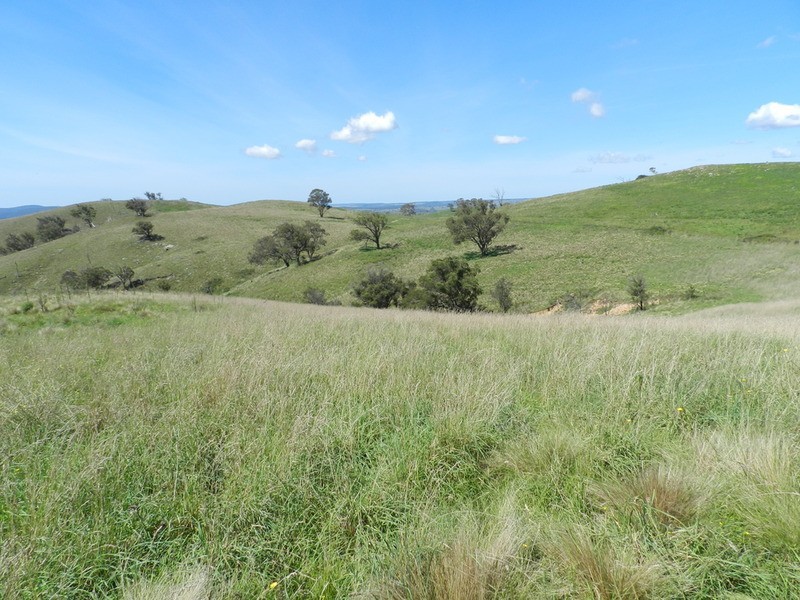 Lot 1 Hanworth  Road, Bannaby NSW 2580